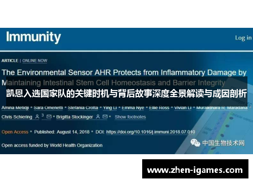 凯恩入选国家队的关键时机与背后故事深度全景解读与成因剖析